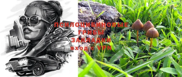 mdpv Алзамай