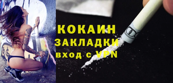 кокс Алексин