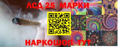 spice Вязники