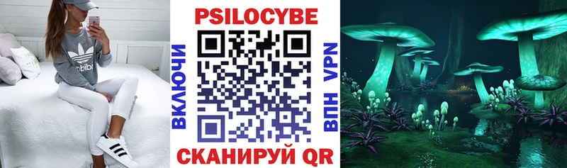 Галлюциногенные грибы GOLDEN TEACHER Боровичи