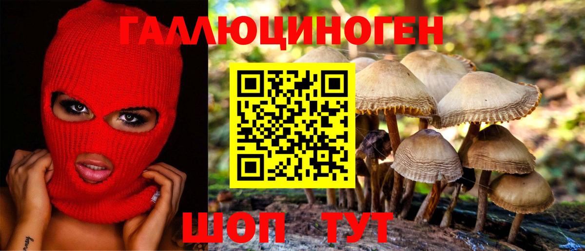 Галлюциногенные грибы Psilocybe  Вход с VPN  Боровичи 