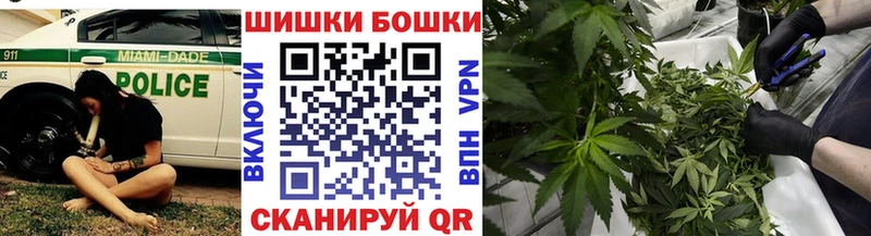 МАРИХУАНА план  Боровичи 